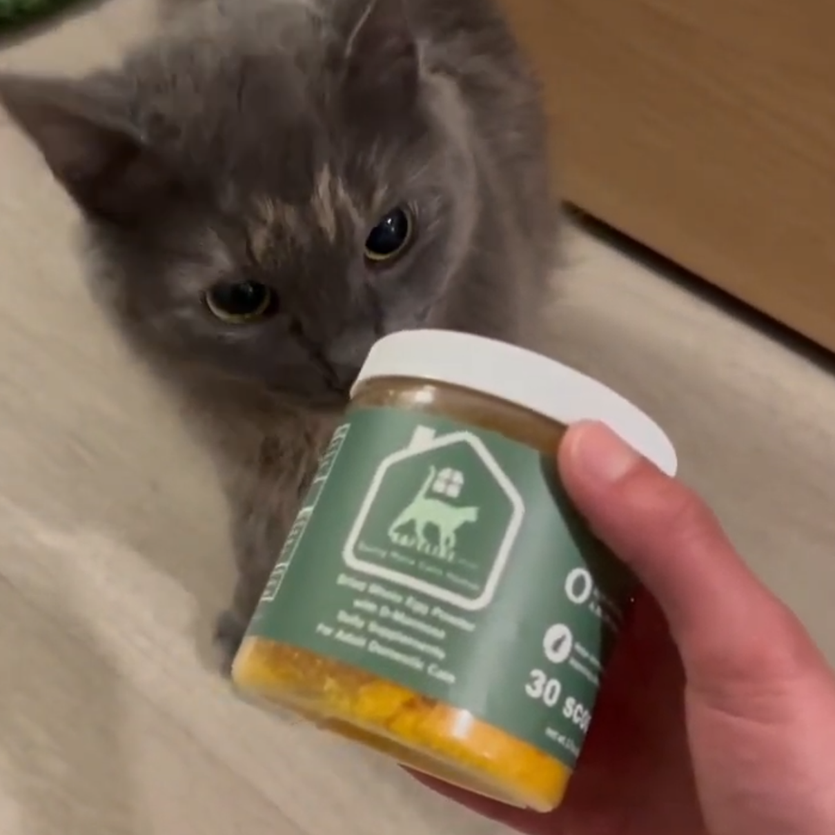 SaFeline pet Cat Food Topper (Whole Egg Powder with D-Mannose) - 30 Day Supply