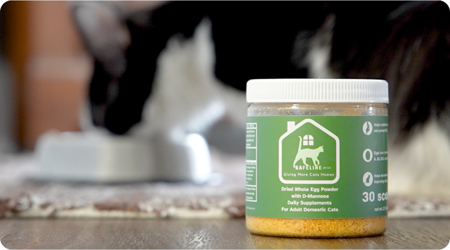 The Importance of Cat Health Supplements