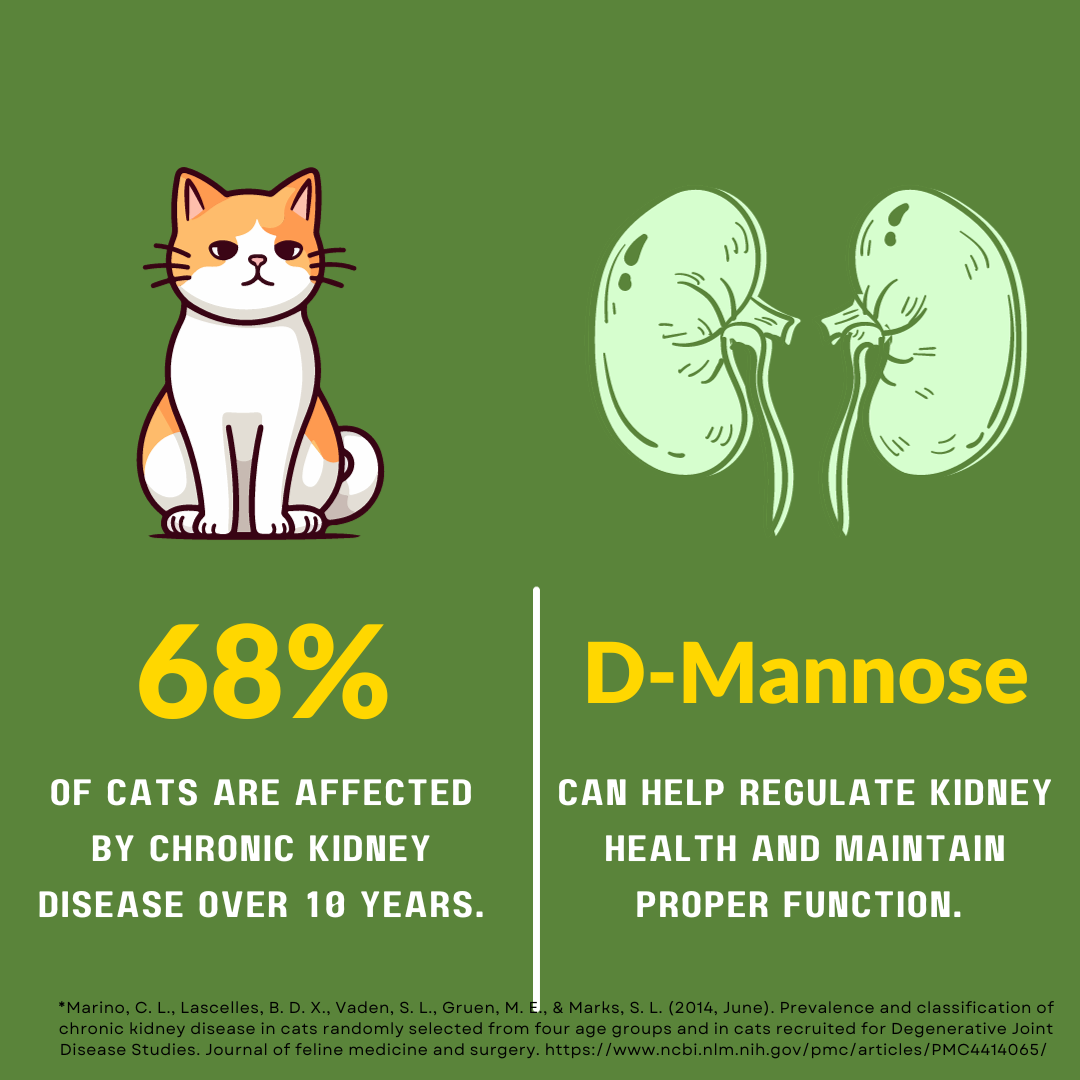 How Our Product Has The Potential To Reduce Allergens. – SAFELINE pet LLC