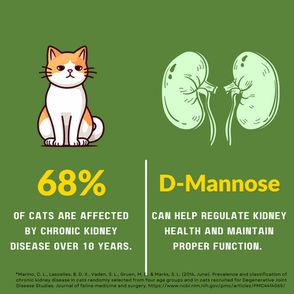 Whole Egg Powder Supplements with D-mannose for cats (30 days)